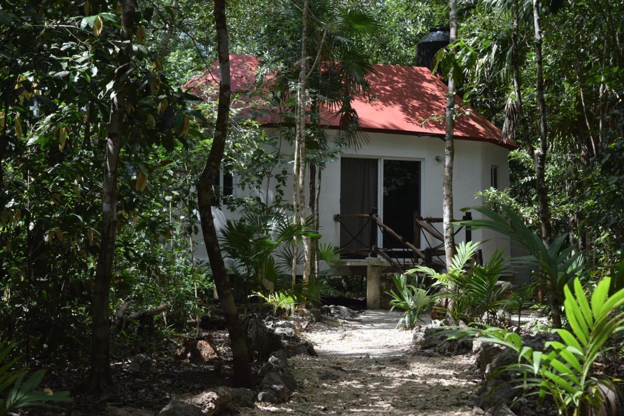 Jolie Jungle Eco Hotel (Adults Only) Leona Vicario Exterior foto