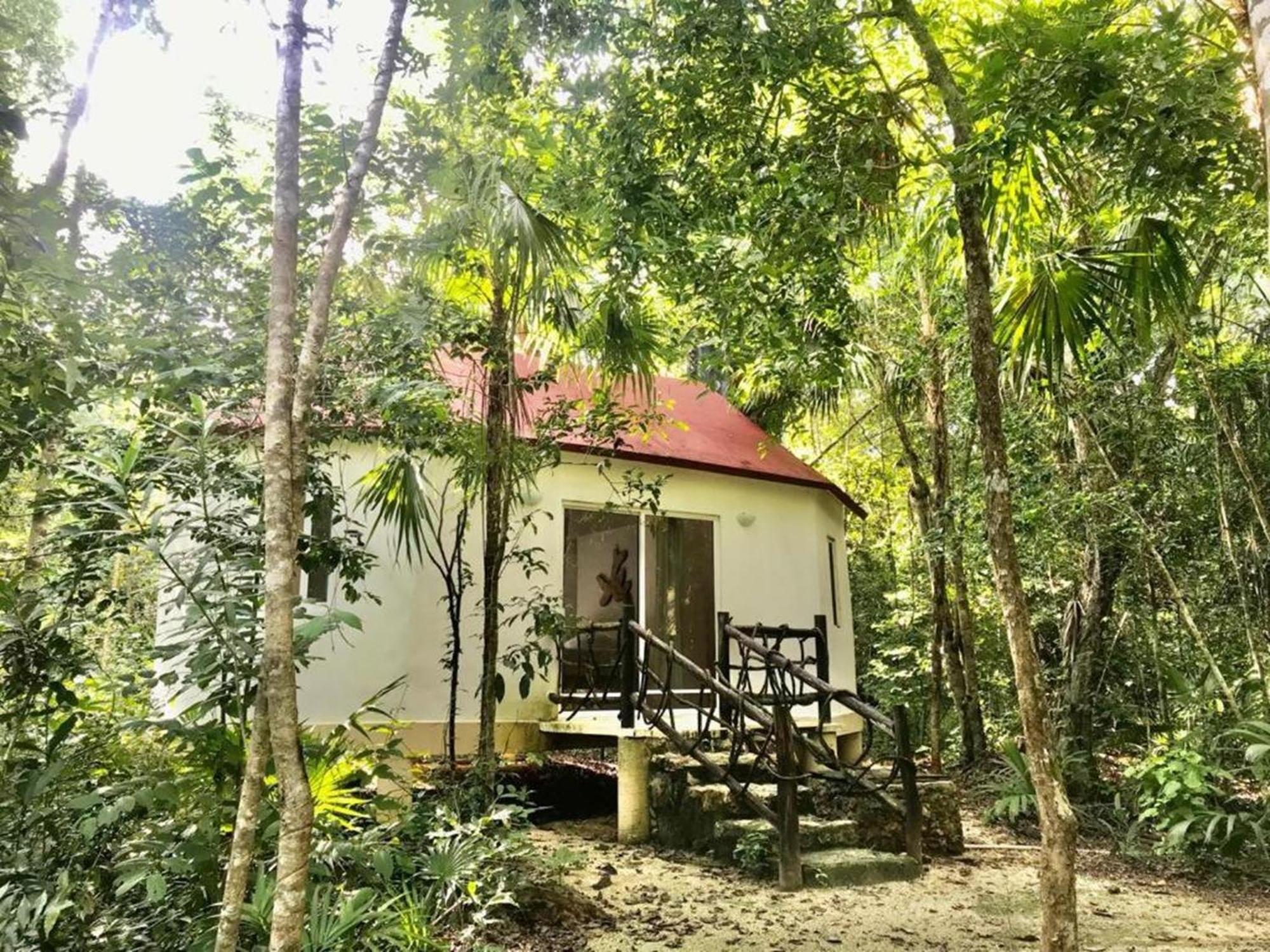 Jolie Jungle Eco Hotel (Adults Only) Leona Vicario Exterior foto