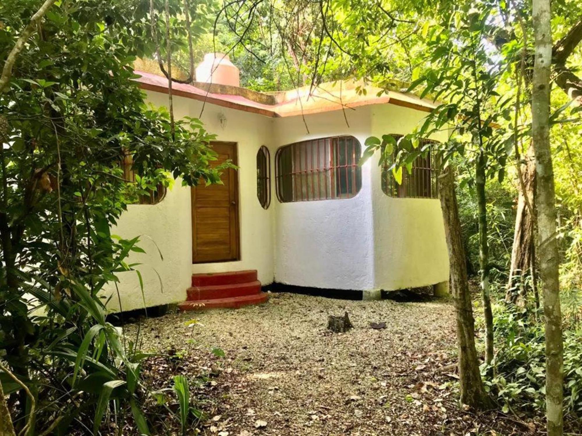 Jolie Jungle Eco Hotel (Adults Only) Leona Vicario Exterior foto